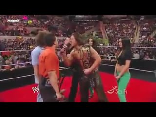 wwe brie and nikki (the bella twins) catfight small ass milf