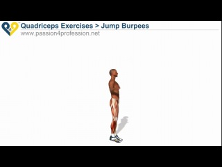 quadriceps exercises 2 (biceps thighs)