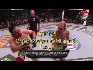978 ufc-184-the top be in the cage d v