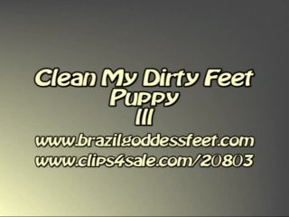 clean my dirty feet puppy